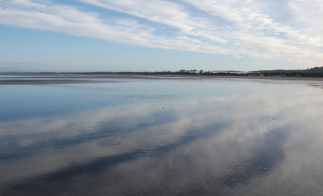 Reflections: Grayland Beach