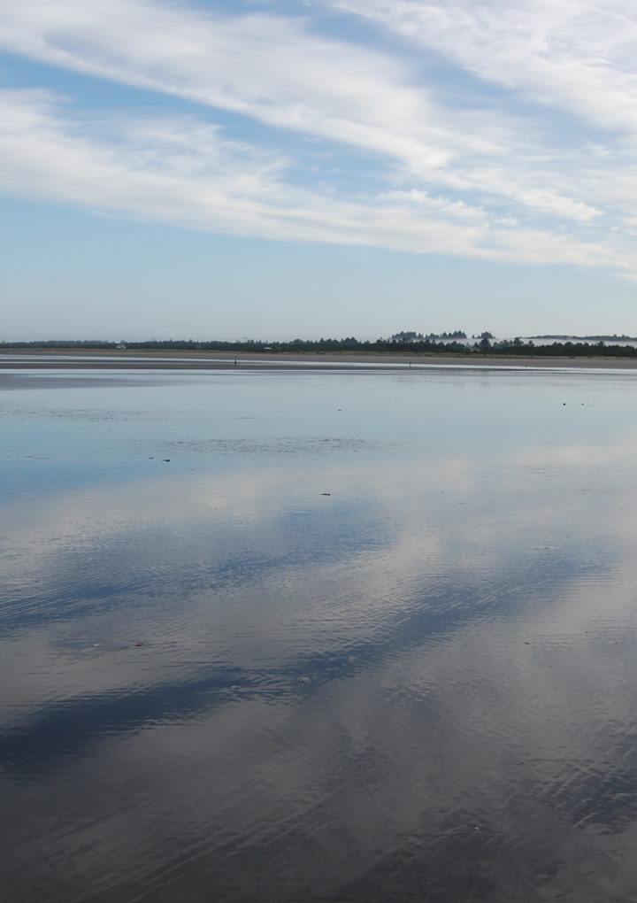 Reflections: Grayland Beach